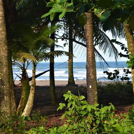 Hotel Pura Natura Beachfront Tortuguero Εξωτερικό φωτογραφία