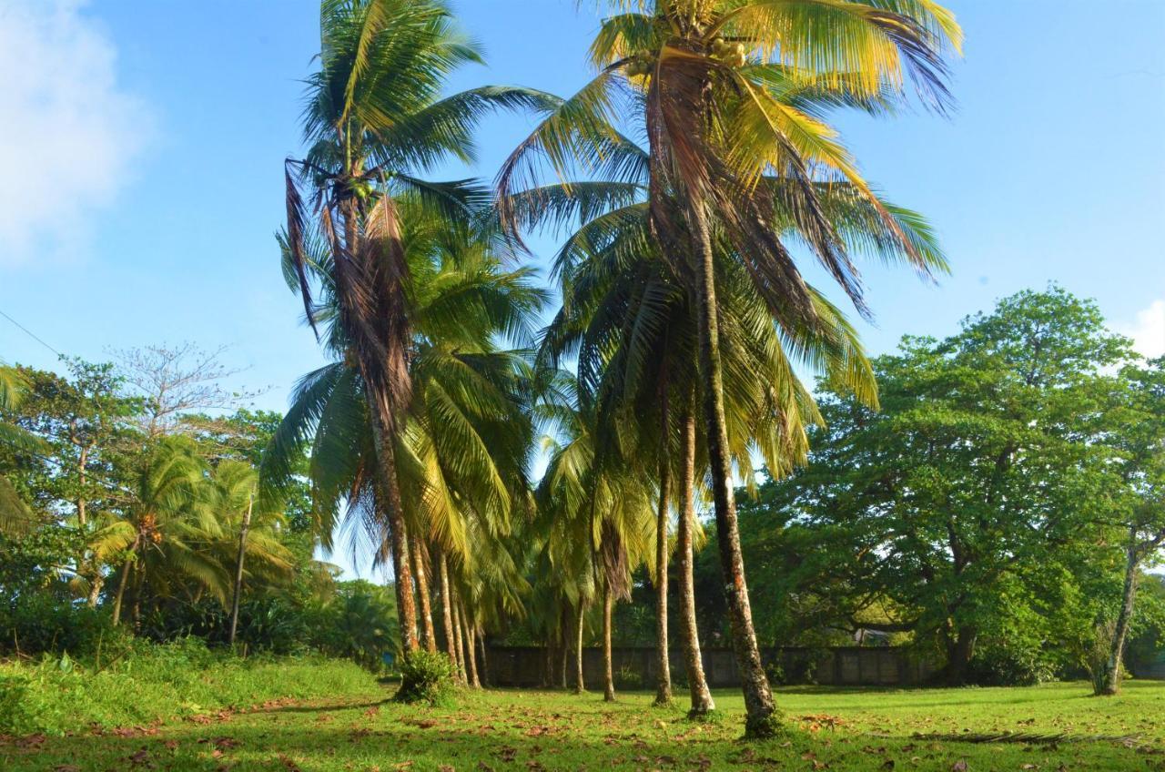 Hotel Pura Natura Beachfront Tortuguero Εξωτερικό φωτογραφία