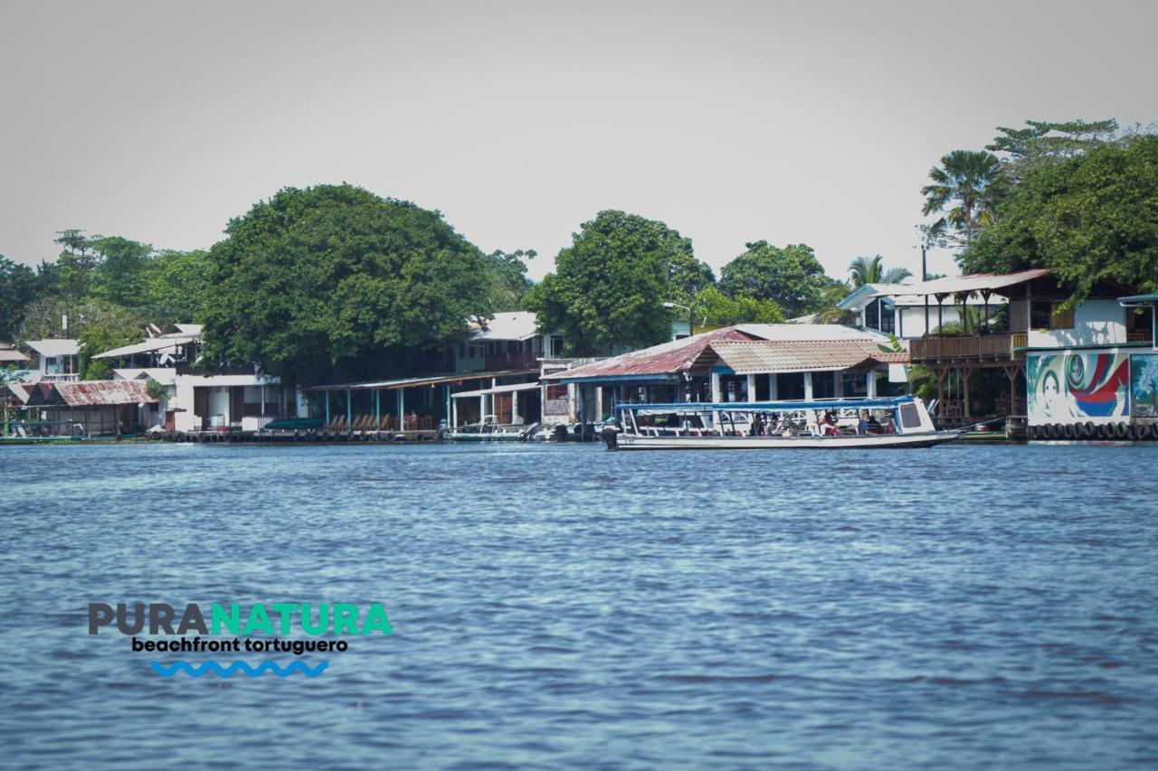 Hotel Pura Natura Beachfront Tortuguero Εξωτερικό φωτογραφία