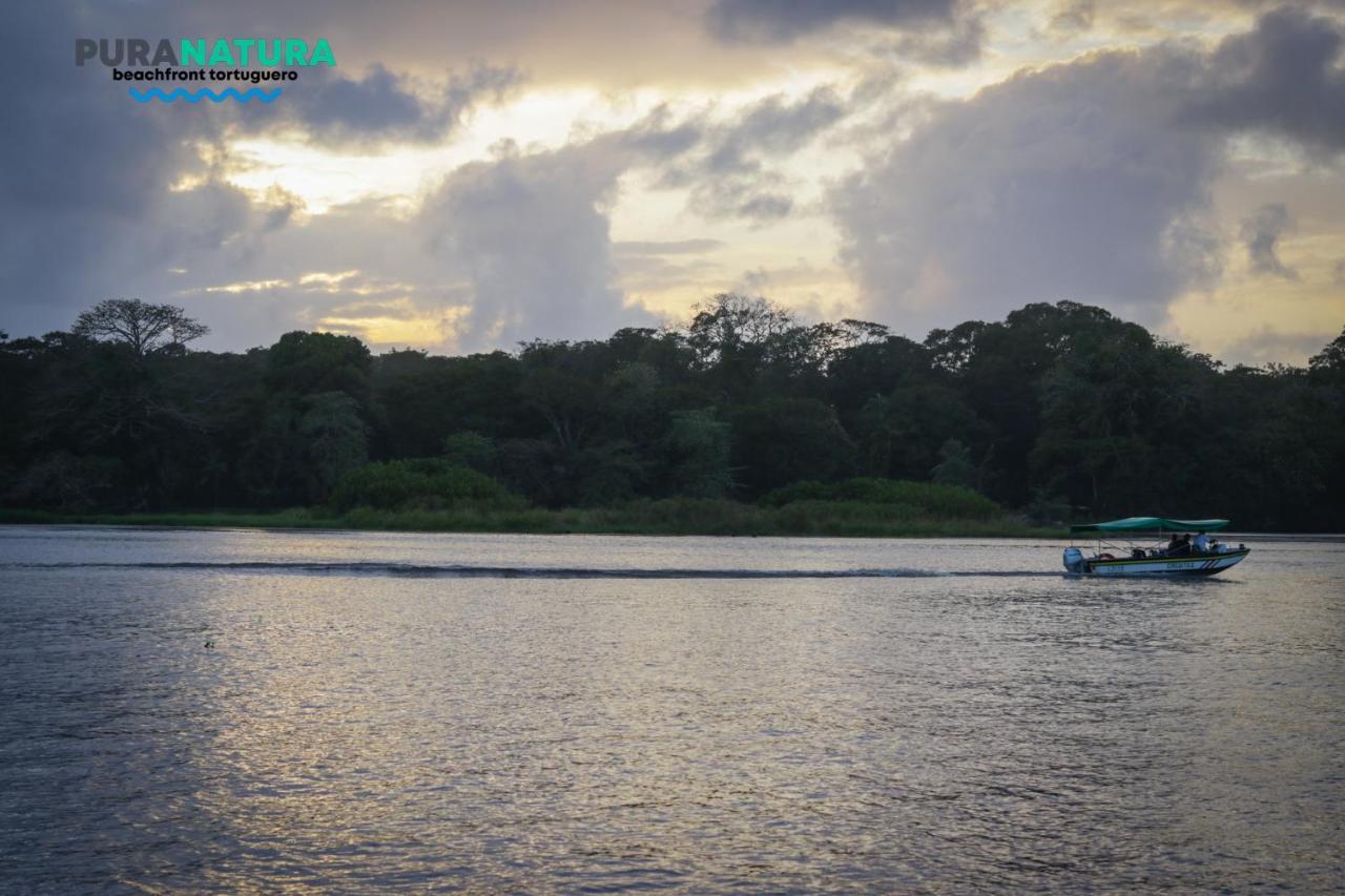 Hotel Pura Natura Beachfront Tortuguero Εξωτερικό φωτογραφία