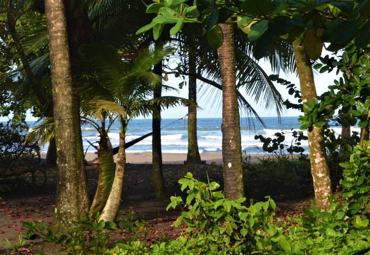 Hotel Pura Natura Beachfront Tortuguero Εξωτερικό φωτογραφία