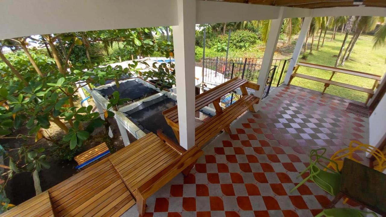 Hotel Pura Natura Beachfront Tortuguero Εξωτερικό φωτογραφία