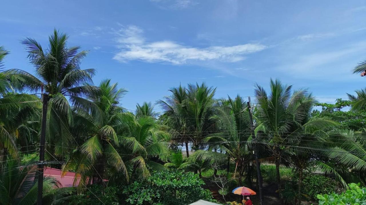 Hotel Pura Natura Beachfront Tortuguero Εξωτερικό φωτογραφία