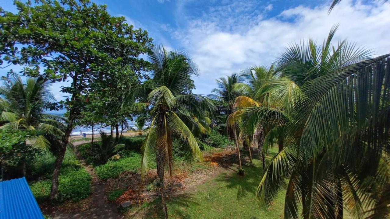 Hotel Pura Natura Beachfront Tortuguero Εξωτερικό φωτογραφία