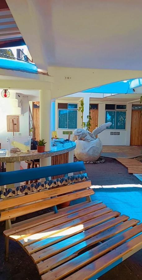 Hotel Pura Natura Beachfront Tortuguero Εξωτερικό φωτογραφία