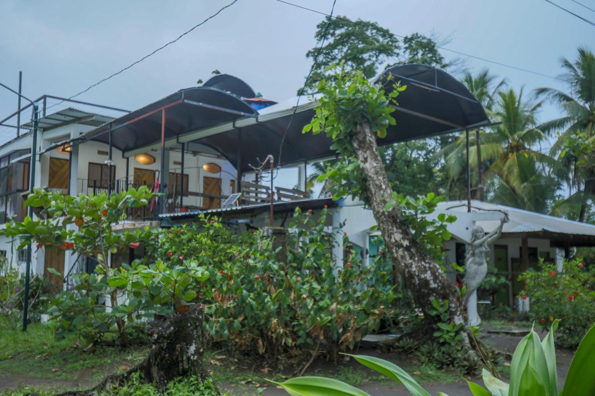 Hotel Pura Natura Beachfront Tortuguero Εξωτερικό φωτογραφία
