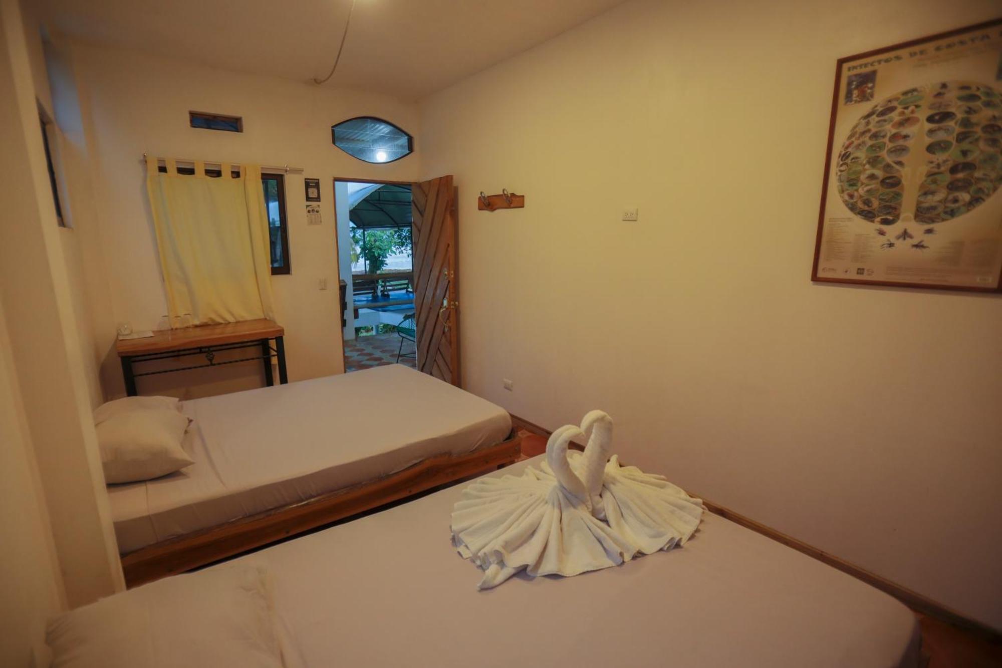 Hotel Pura Natura Beachfront Tortuguero Εξωτερικό φωτογραφία