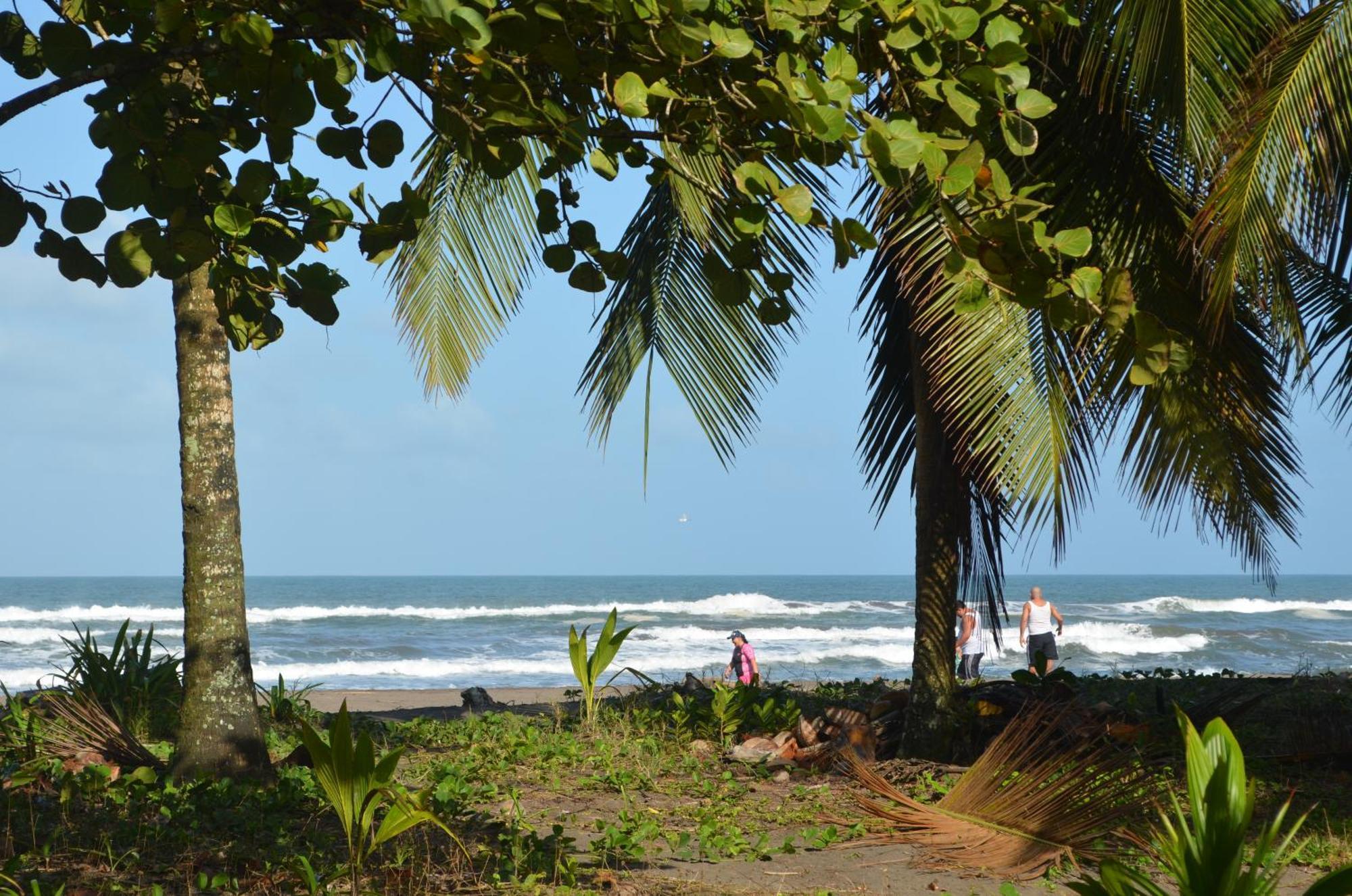 Hotel Pura Natura Beachfront Tortuguero Εξωτερικό φωτογραφία